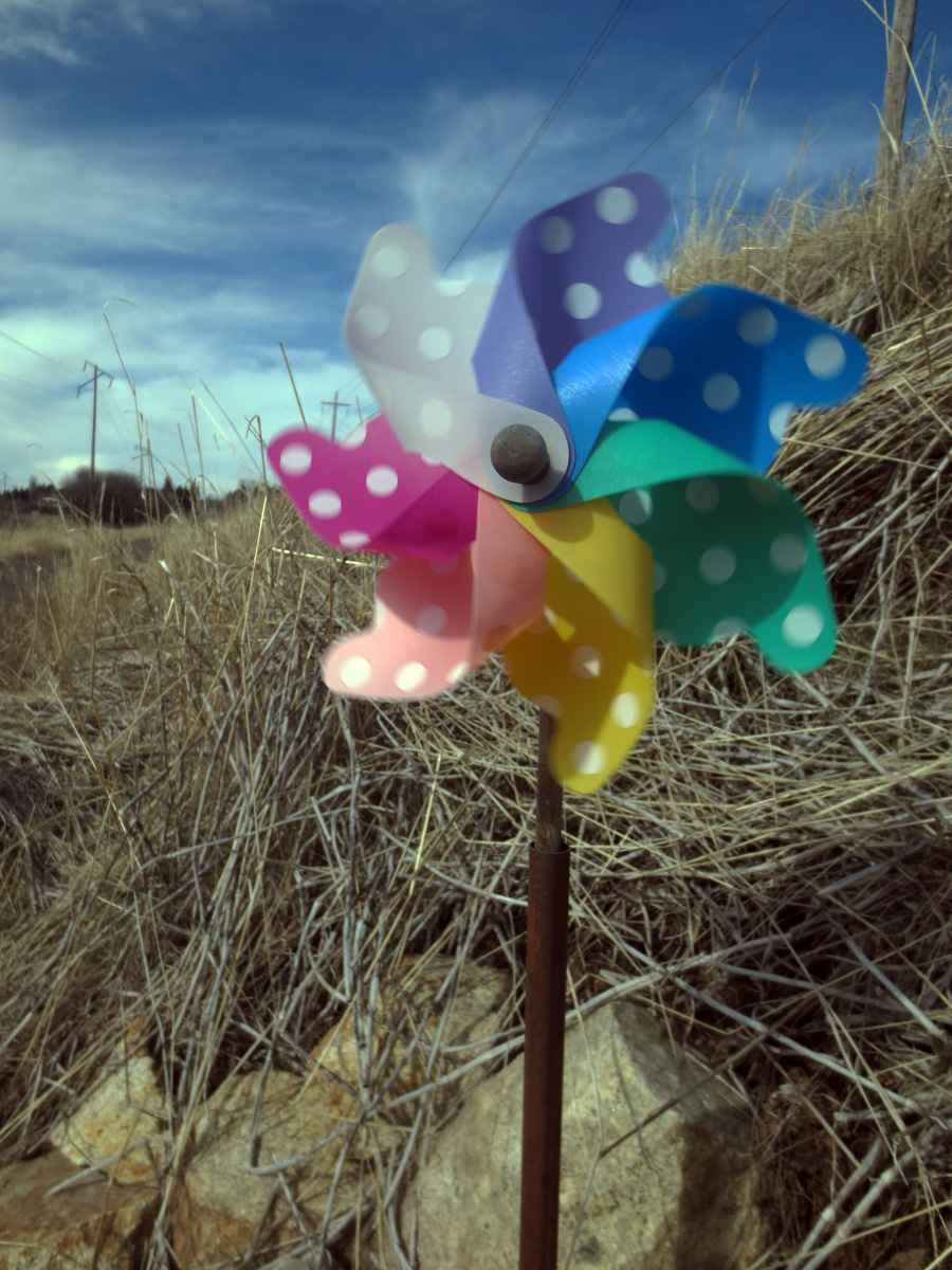 Pinwheel Susan Fluegel
